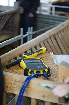 Erfassung von Tierdaten mittels digitalem Lesestab und elektronischer Ohrmarken, Wiegen der Lämmer