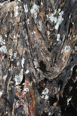 Metamorphic rock formations - Kazakhstan