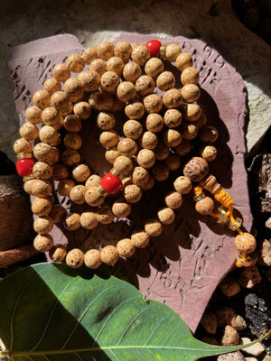 16. Bodhicitta samen Mala mit roter Perle  38,00 €  
