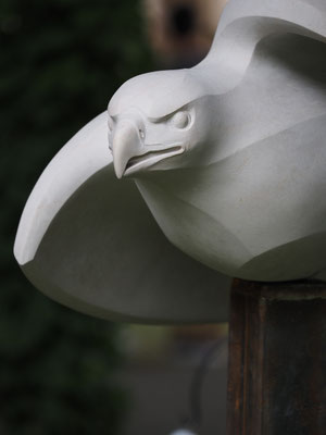 Adler / Kalkstein / Andreas Lindegger