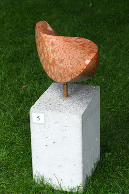Welle / Muschelkalk / Andreas Lindgger