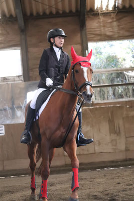 NEW YEAR HORSESHOW - 乗馬体験満足度No.1・茨城の乗馬クラブ NEW YEAR HORSESHOW - 乗馬体験満足度No.1・茨城の乗馬クラブ