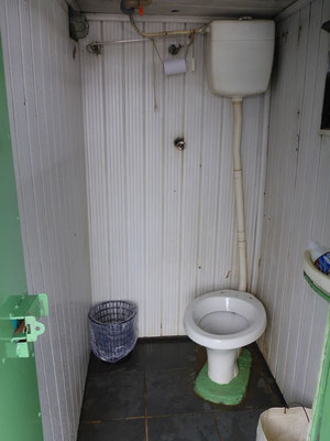 Das kleine WC mit integrierter Dusche