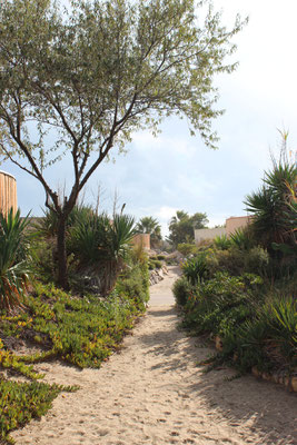 Der Weg zum Meer