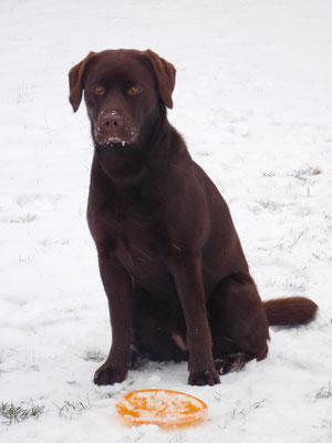 Lea im Schnee