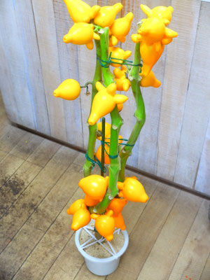 フォックスフェイス　h:110cm   ￥9,900-(tax込)