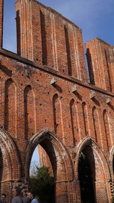 Klosterbeben, Foto:www.MiOfoto.de, Gerd Schütt
