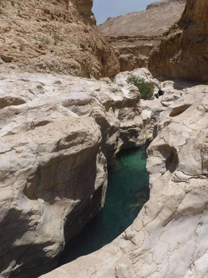 Canyon du Wadi Bani Khalid