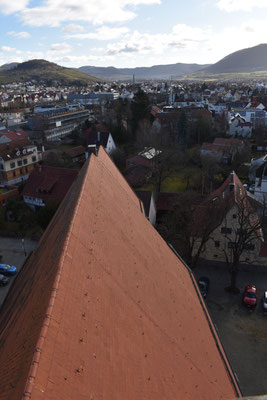 Über die ganze Länge des Kirchendachs lebt die Fledermauskolonie. Foto: NABU Metzingen / W. Hoyer