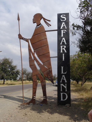 Tansania - das Safariland!