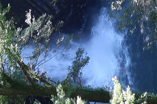 浄蓮の滝の一部。上からみた滝つぼ