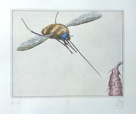 Ulf H. Rickmann, Blatt VIII (Insektenserie) Strichätzung koloriert, 20x15cm, 2020 - 300 EUR