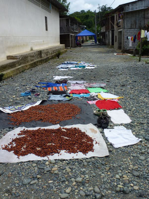 On fait sècher le cacao et le linge sur le sol