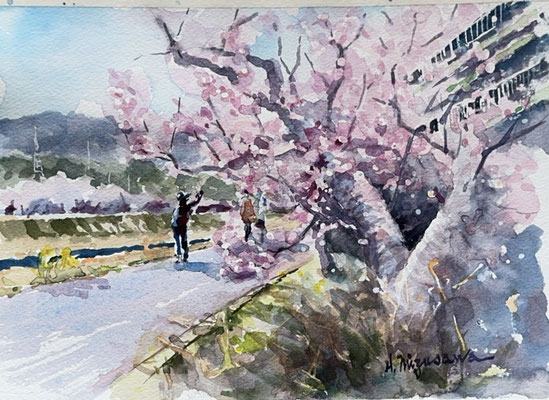 心癒す水沢春和の絵の世界 - mizusawa2017 心癒す風景との出会い