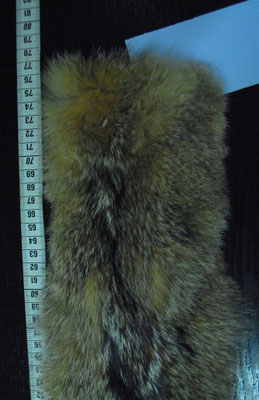 104