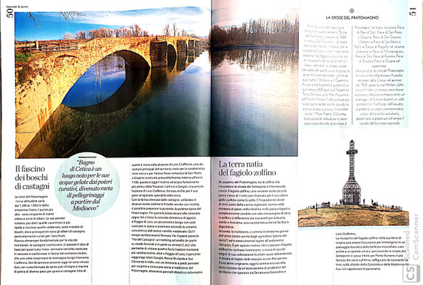 Articolo