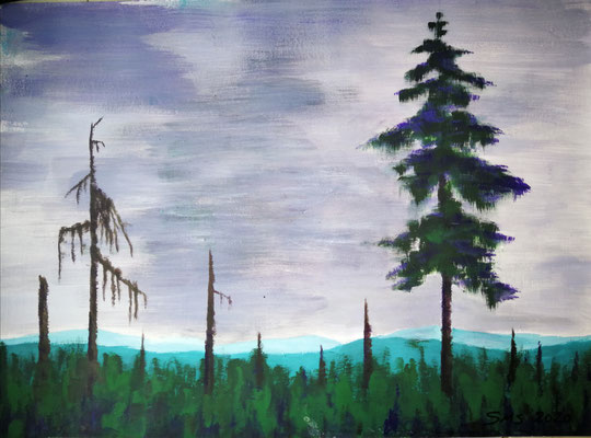 Die letzte Fichte 2020, Acryl auf Papier 48x64 , 280,-€