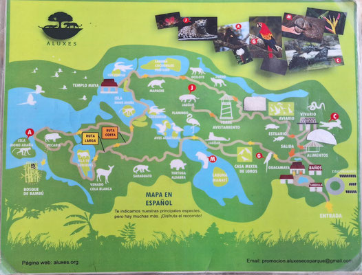 ...Tierpark.