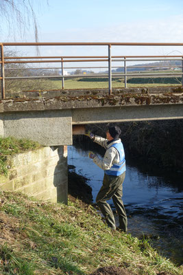 unter Rankbachbrücke Foto: NABU/I.Bücker