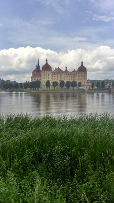 Das Schloss Moritzburg.