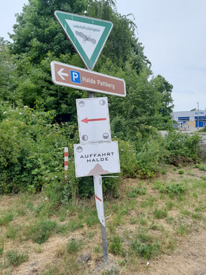 Da geht´s lang