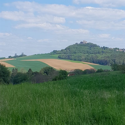 Ausblicke