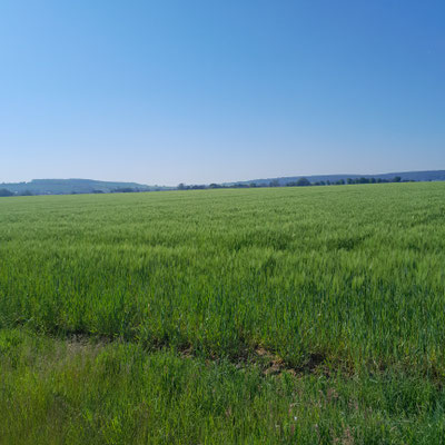 Herrliche Aussicht