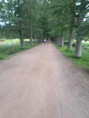 Allee