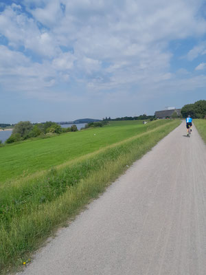 Auf dem Deich