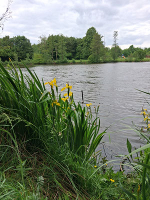 Der Bitzensee bei Münster.