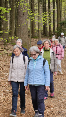 Unterwegs im Hochtaunus nahe Rotes Kreuz