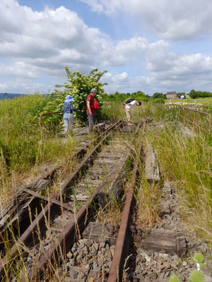 Die alte Eisenbahnstrecke bei Esperstedt.