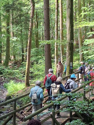 In der Kaskadenschlucht.