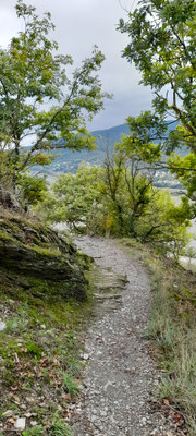 Immer wieder tolle Pfade oberhalb des Mittelrheintales.