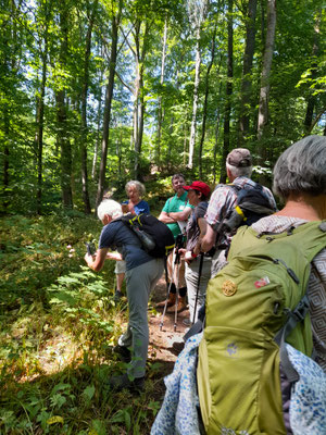 Unterwegs auf dem Karstwanderweg im Alten Stolberg