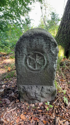 Grenzstein mit dem Mainzer Rad am Limesweg zwischen Glashütten und Kastell Maisel