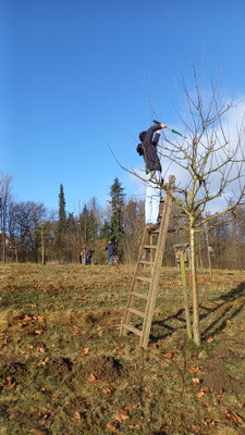 FOTO: NABU Bad Münder