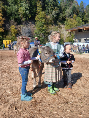 Kälberwettbewerb: Livia, Vanessa, Dario mit Kalb Albina