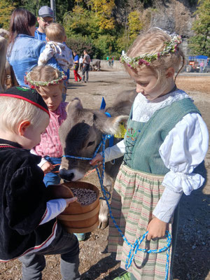 Kälberwettbewerb: Livia, Vanessa, Dario mit Kalb Albina