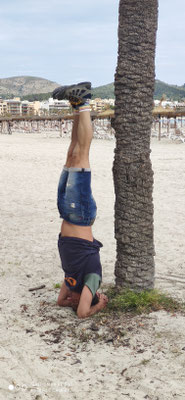 sirsasana Iyengar