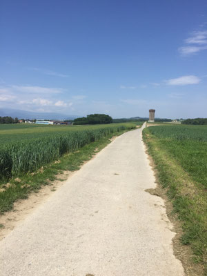 Richtung Yverdon auf dem Veloweg