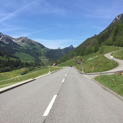 on the road in den Freiburger Alpen