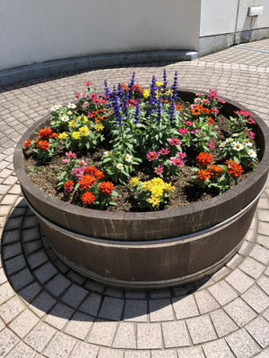 スカイデッキの上の植栽