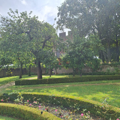 Garten vom Gouverneurshaus