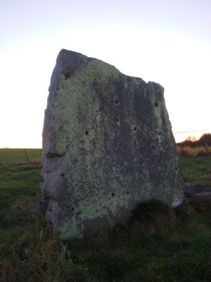 Menhir de la Pierre Levée (Saint-Paterne-Racan)