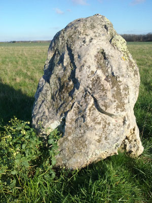 Menhir de la Pierre à Vinaigre (Nouzilly)