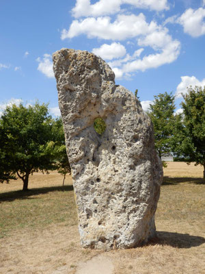 Menhir dit La Pierre Percée (Draché)