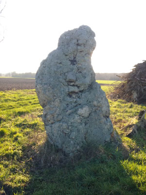 Menhir de Montifray (Beaumont-La-Ronce)