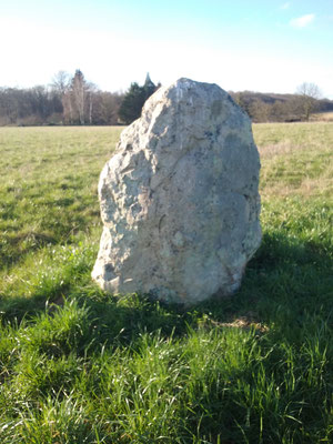 Menhir de la Pierre à Vinaigre (Nouzilly)