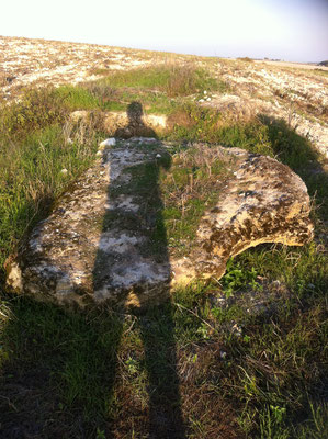 Dolmen, nommé par erreur comme "Menhir dit la Pierre Levée" (Civray-sur-Esves).